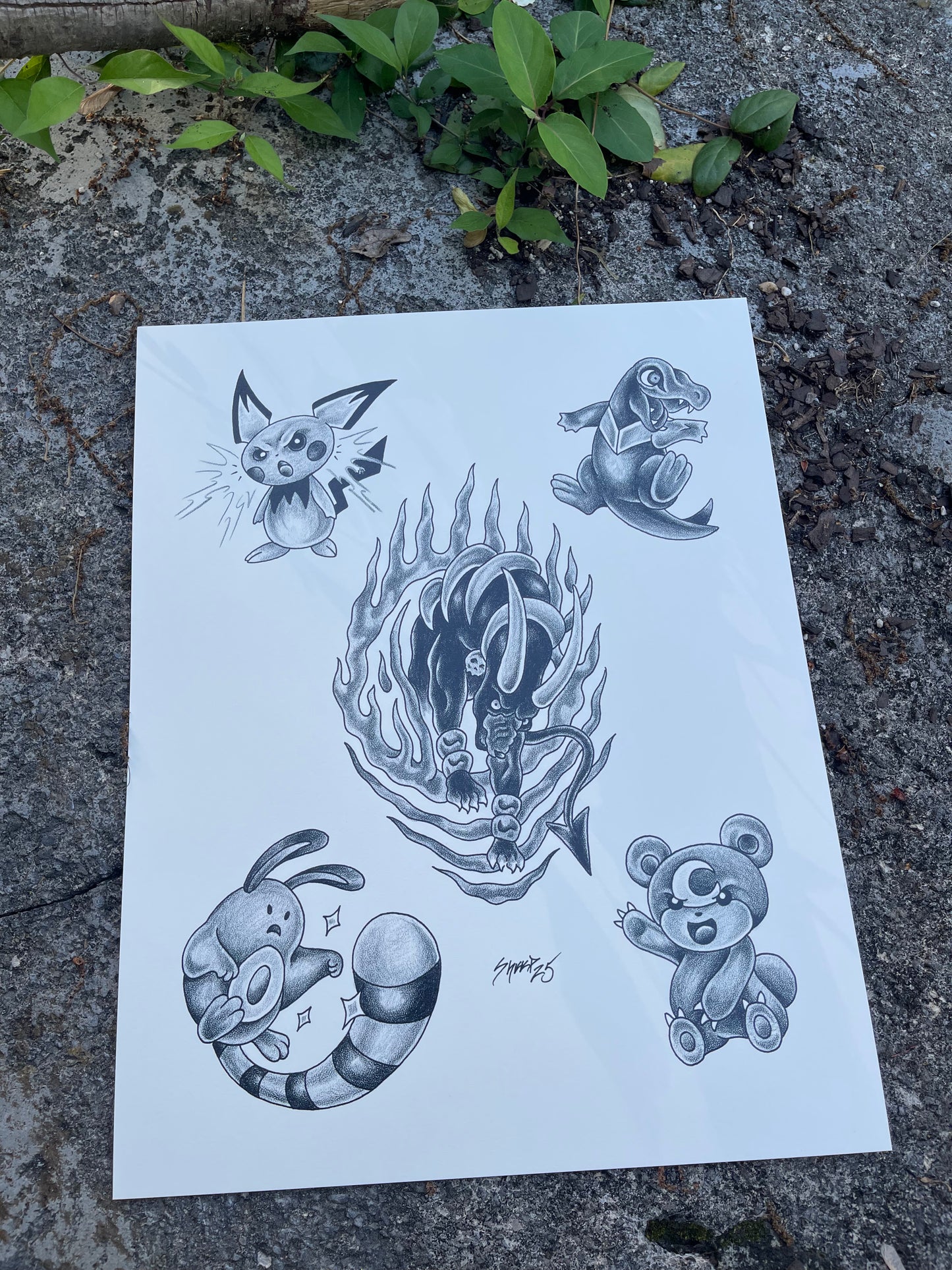 10 Sheet Bundle Pokemon Flash Prints 11x14"